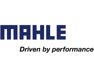 Mahle 300
